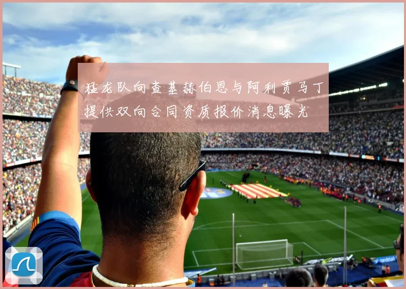 猛龙队向查基赫伯恩与阿利贾马丁提供双向合同资质报价消息曝光